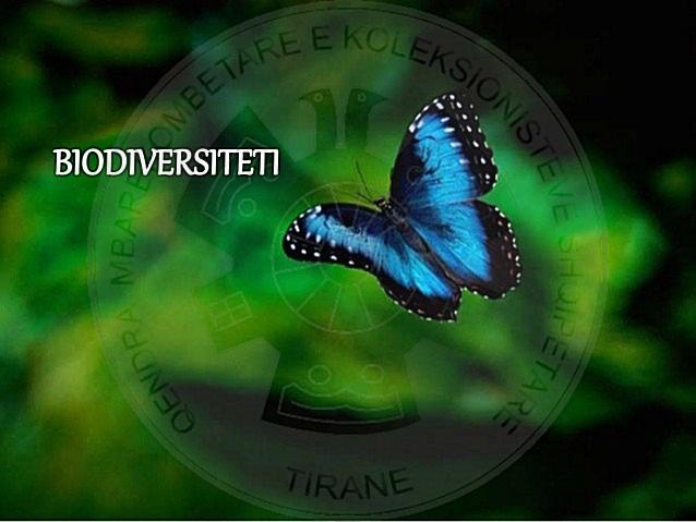 January 5th, 1994 Albania adheres to the “Convention on Biological Diversity”