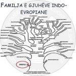 23 Shkurt 1843, referat i prof. Franc Bopi në Akademinë e Shkencave të Berlinit; shqipja është një gjuhë indoevropiane