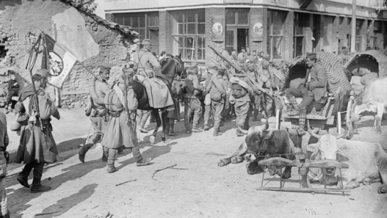 8 Janar 1920, në Paris, Serbia i shtrin pretendimet deri në Drin të Zi